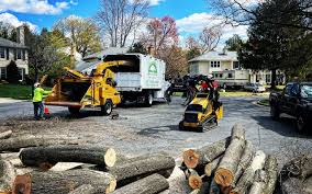 Best Tree Risk Assessment  in Crystal Lake, IL